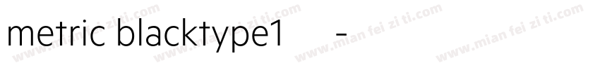metric blacktype1西方字体转换